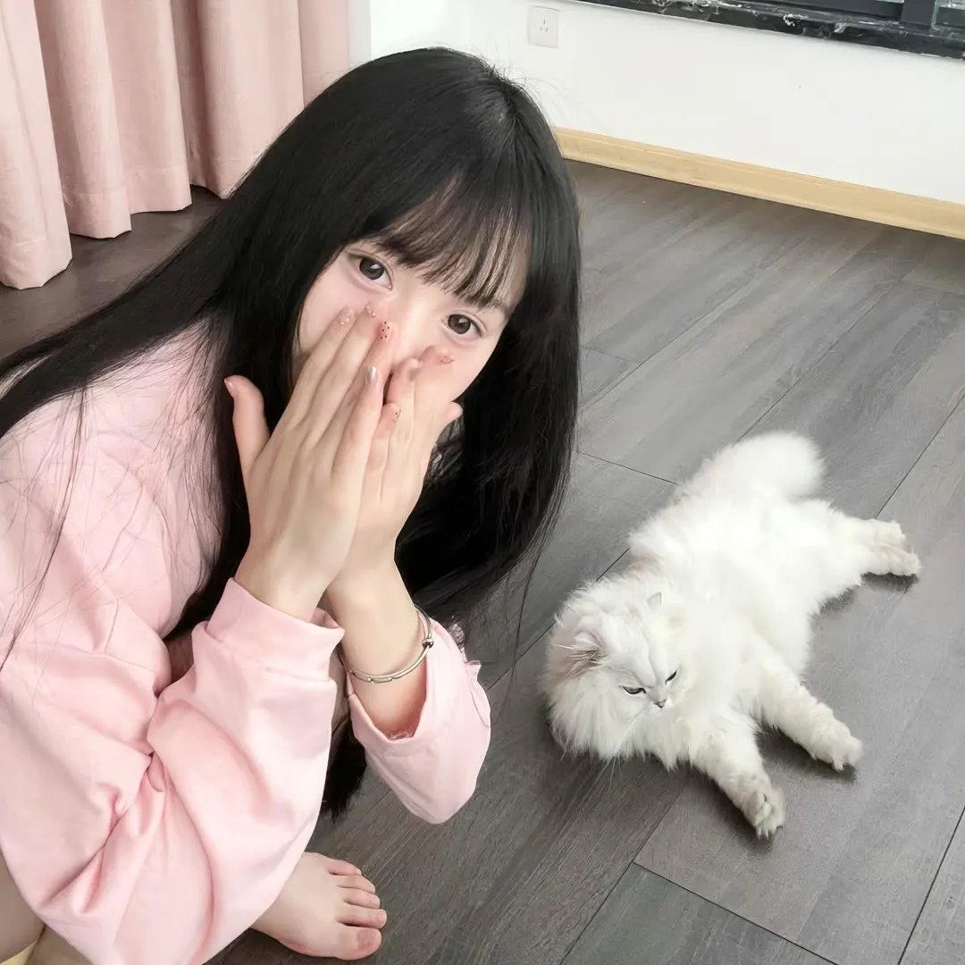 代号猎鹰